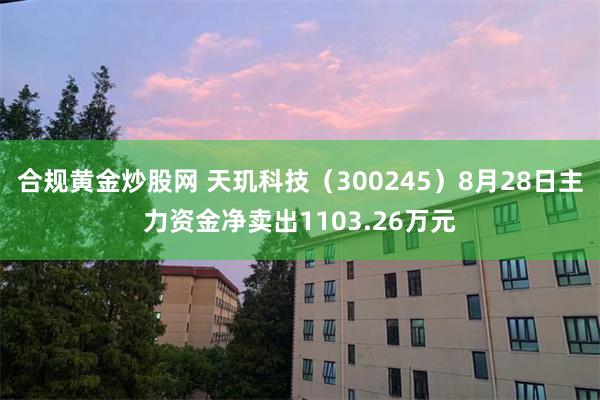 合规黄金炒股网 天玑科技（300245）8月28日主力资金净卖出1103.26万元
