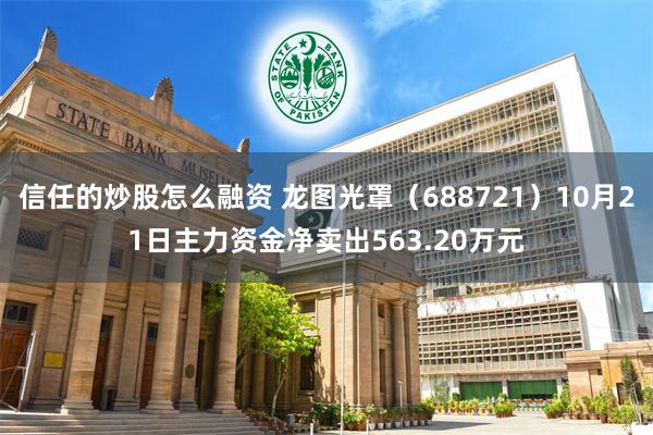 信任的炒股怎么融资 龙图光罩（688721）10月21日主力资金净卖出563.20万元