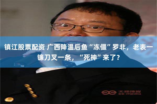 镇江股票配资 广西降温后鱼“冻僵”罗非，老表一镰刀叉一条，“死神”来了？
