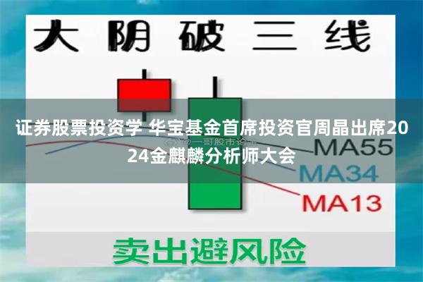 证券股票投资学 华宝基金首席投资官周晶出席2024金麒麟分析师大会