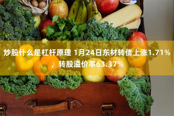 炒股什么是杠杆原理 1月24日东材转债上涨1.71%，转股溢价率63.37%