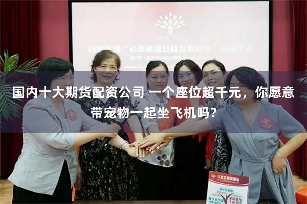 国内十大期货配资公司 一个座位超千元，你愿意带宠物一起坐飞机吗？