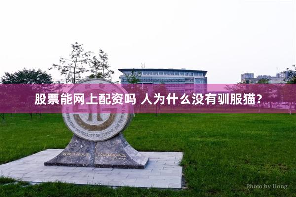 股票能网上配资吗 人为什么没有驯服猫？