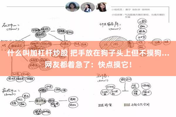 什么叫加杠杆炒股 把手放在狗子头上但不摸狗...网友都着急了：快点摸它！