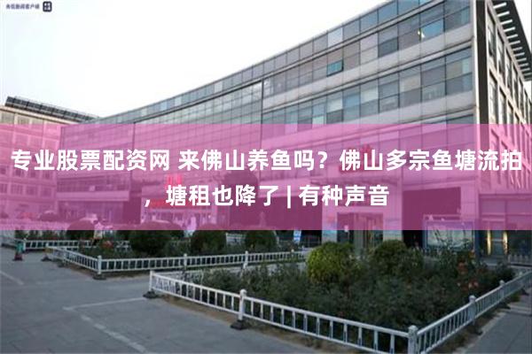 专业股票配资网 来佛山养鱼吗？佛山多宗鱼塘流拍，塘租也降了 | 有种声音