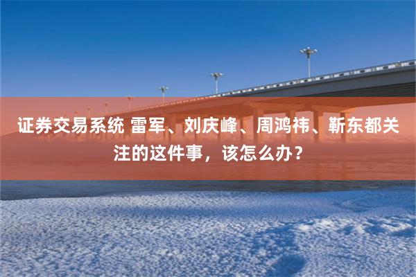 证券交易系统 雷军、刘庆峰、周鸿祎、靳东都关注的这件事，该怎