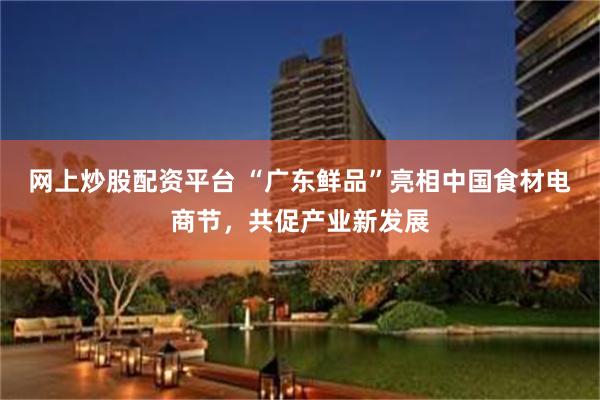 网上炒股配资平台 “广东鲜品”亮相中国食材电商节，共促产业新