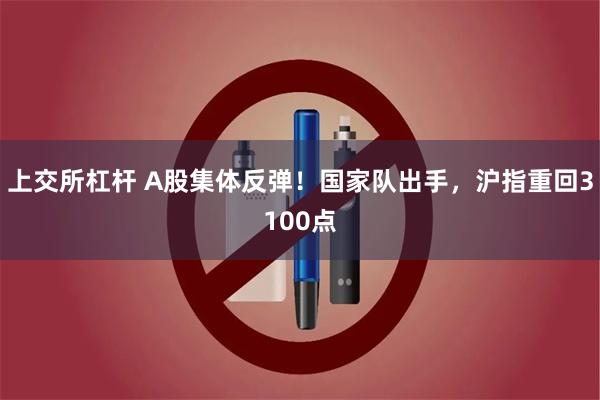 上交所杠杆 A股集体反弹！国家队出手，沪指重回3100点