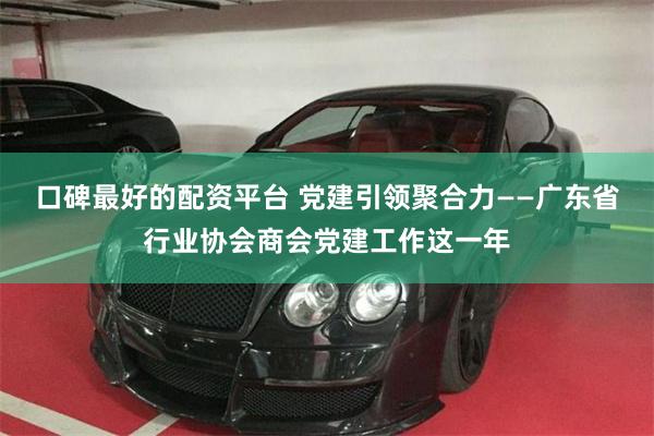 口碑最好的配资平台 党建引领聚合力——广东省行业协会商会党建