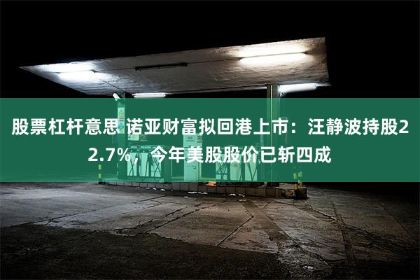股票杠杆意思 诺亚财富拟回港上市：汪静波持股22.7%，今年