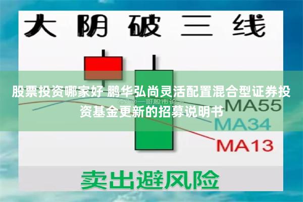 股票投资哪家好 鹏华弘尚灵活配置混合型证券投资基金更新的招募说明书
