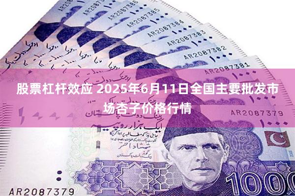 股票杠杆效应 2025年6月11日全国主要批发市场杏子价格行
