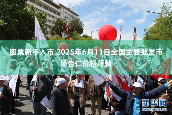 股票新手入市 2025年6月11日全国主要批发市场杏仁价格行