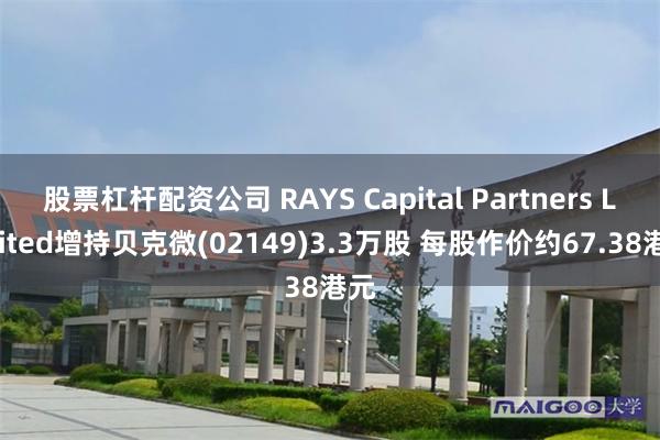 股票杠杆配资公司 RAYS Capital Partners