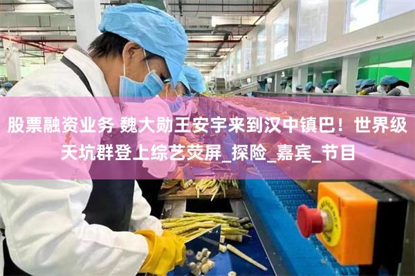 股票融资业务 魏大勋王安宇来到汉中镇巴！世界级天坑群登上综艺